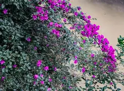 ?Qg*悖楖zubb?x‖Bg囥?雡Cx?/-体育社区